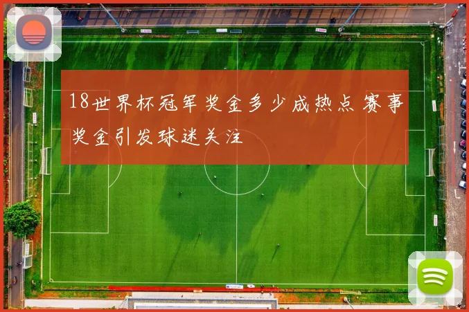 18世界杯冠军奖金多少成热点 赛事奖金引发球迷关注