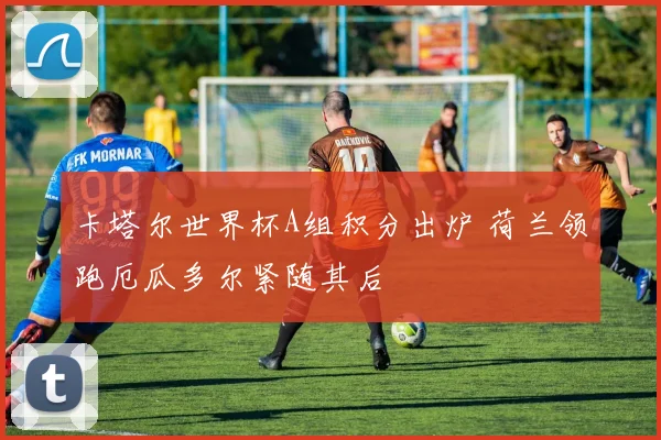 卡塔尔世界杯A组积分出炉 荷兰领跑厄瓜多尔紧随其后
