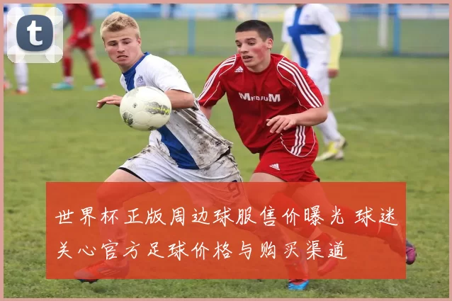 世界杯正版周边球服售价曝光 球迷关心官方足球价格与购买渠道