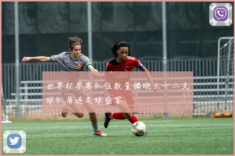 世界杯参赛队伍数量揭晓三十二支球队角逐足球盛宴