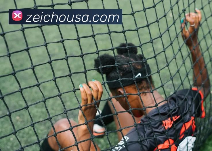 米兰登录app入口平台生态图